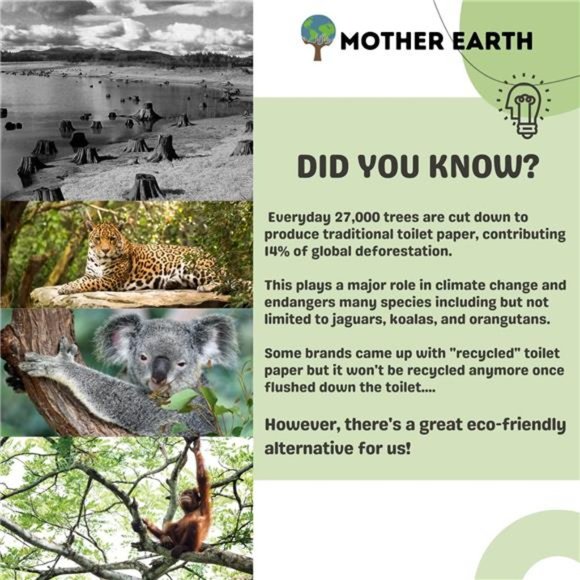 Organic Bamboo Toilet Paper 2.0 | 400 Sheets 3-Ply |24 Hypoallergenic Mega Rolls - Picture 4 of 8